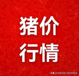 12月20日明日猪价早知道