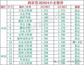 山东直属库5月30日启动2024新麦收购，三等及以上1.25元/斤